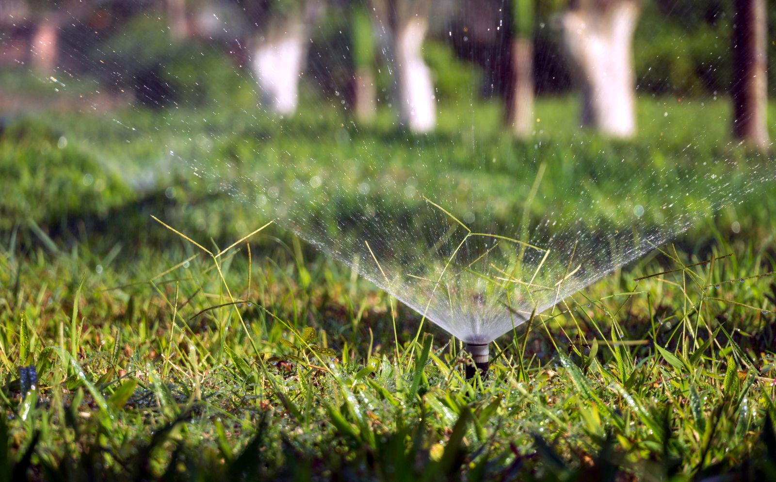 Irrigation & Sprinklers — landscaping in the Upstate
