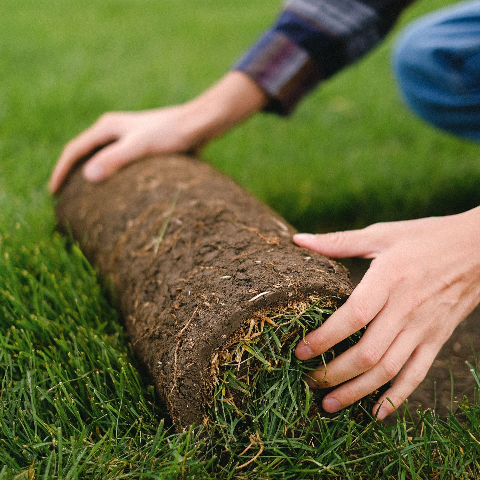 Sod & Lawn Installation — landscaping in the Upstate